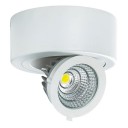 Gaismeklis IGOR LED C 9W WHITE 4000K